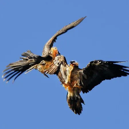 Alojamento de Turismo Rural De Montana Lamiana