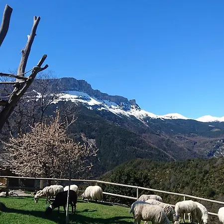 De Montana Farm stay