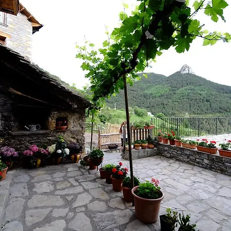 De Montana * Lamiana