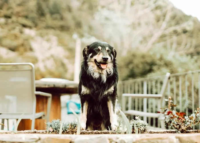 Vakantieboerderij De Montana