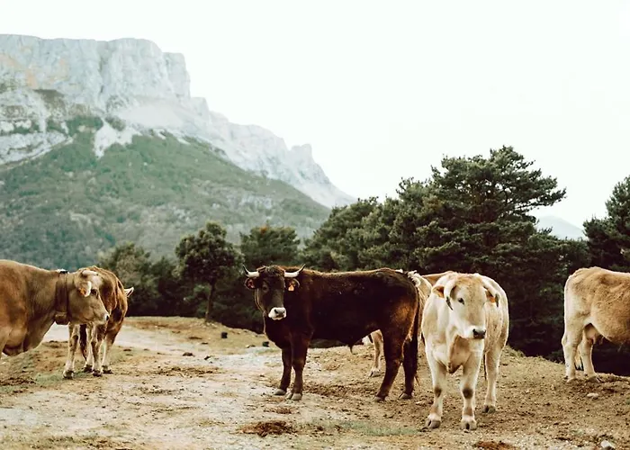 De Montana Vakantieboerderij