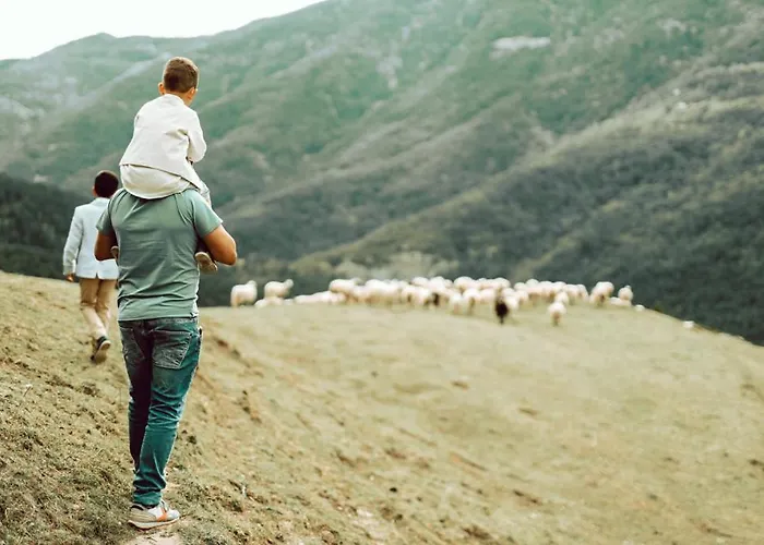 Alojamento de Turismo Rural De Montana