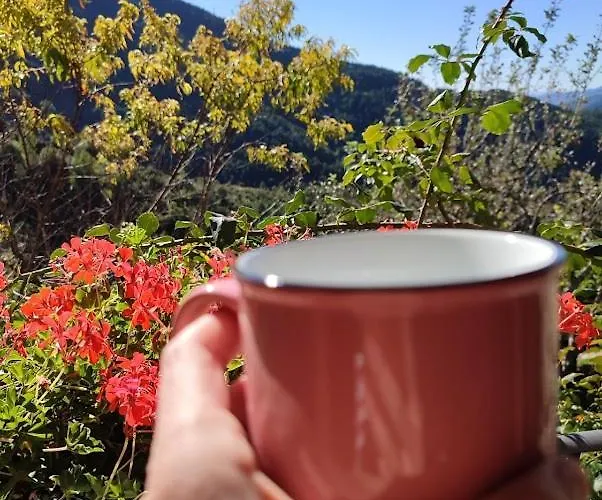 De Montana Alojamento de Turismo Rural *