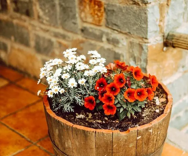 Alojamento de Turismo Rural De Montana *