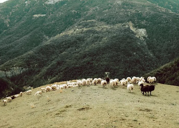 Alojamento de Turismo Rural De Montana *