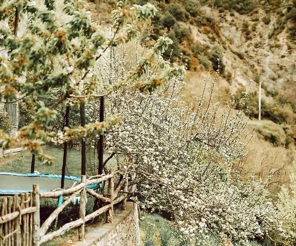 Alojamento de Turismo Rural De Montana