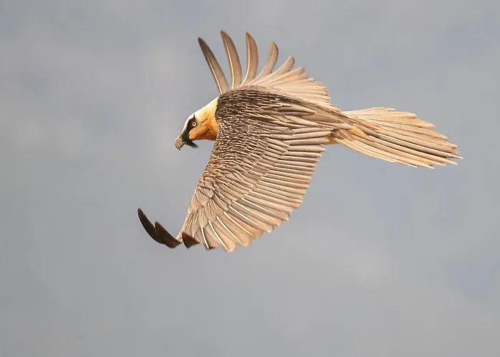 De Montana Vakantieboerderij Lamiana