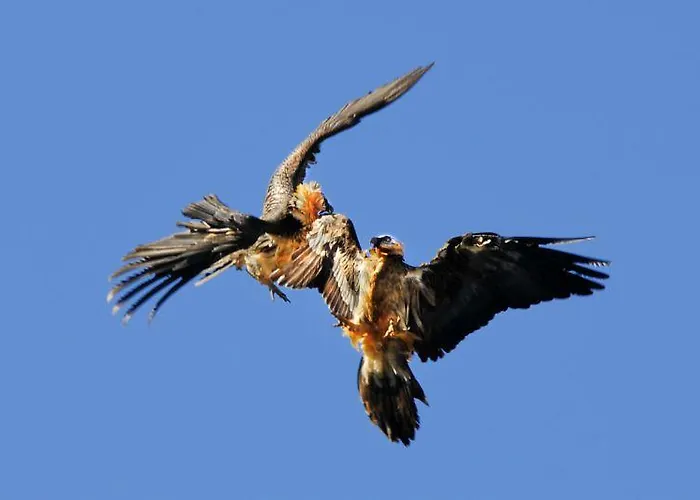 Alojamento de Turismo Rural De Montana Lamiana