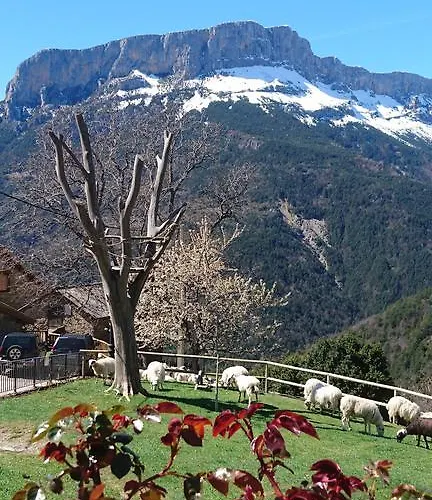 De Montana * Lamiana