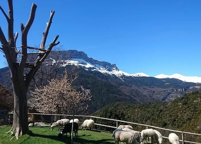 De Montana Alojamento de Turismo Rural