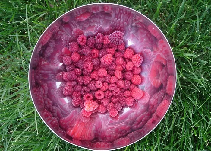 De Montana Alojamento de Turismo Rural Lamiana