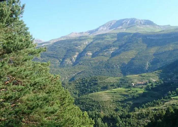 De Montana * Lamiana