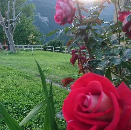 Alojamento de Turismo Rural De Montana *