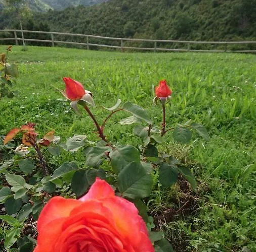 De Montana Alojamento de Turismo Rural *
