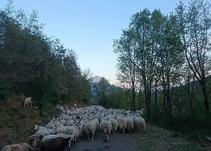 De Montana * Lamiana